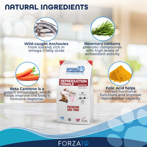 Forza10 Nutraceutic Active Reproductive Female Diet Dry Dog Food