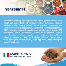 Load image into Gallery viewer, Forza10 Nutraceutic Active Line Oral Support Diet Dry Dog Food