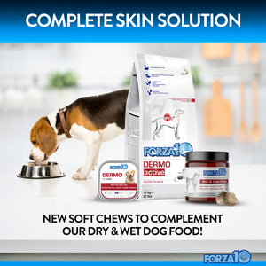 Forza10 Skin & Coat Supplement Soft Chews