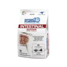 Load image into Gallery viewer, Forza10 Nutraceutic Active Intestinal Support Diet Dry Dog Food