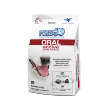 Load image into Gallery viewer, Forza10 Nutraceutic Active Line Oral Support Diet Dry Dog Food