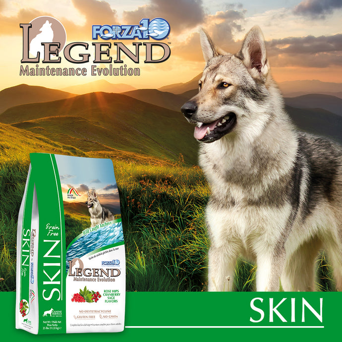 Legend Skin: the best dog food for skin allergies