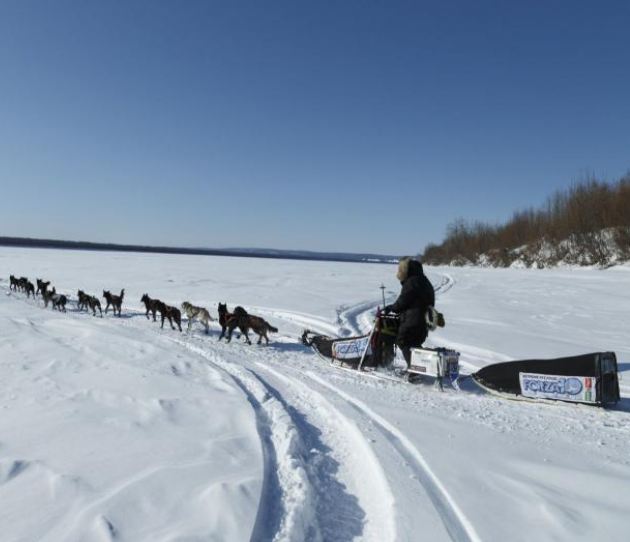 Lance Mackey and the Iditarod