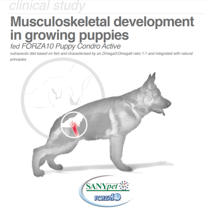 Musculoskeletal development in the growing puppy