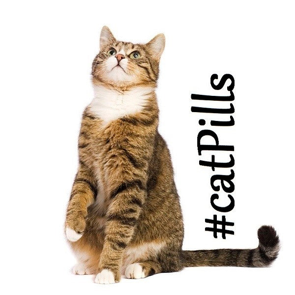 #catPills – Cat science