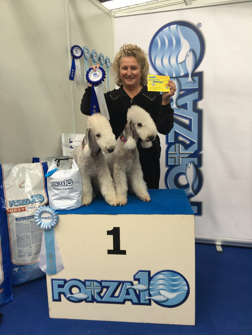 World Dog Show 2021 Best in Show selects FORZA10