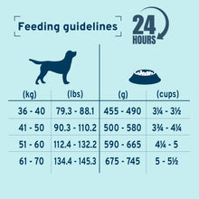 Load image into Gallery viewer, Forza10 DailyPro Pacific Ocean Fish Dry Dog Food for Large Breed Adults – Vet Formulated Daily Maintenance, Non-GMO, Made in Italy, 26.5 lb
