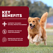 Load image into Gallery viewer, Dermo Wet Dog Food for Itchy Skin &amp; Coat Health, Fish Flavor
