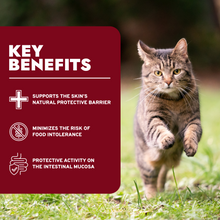 Load image into Gallery viewer, Dermo Wet Cat Food for Itchy Skin &amp; Coat Health, Fish Flavor
