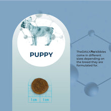 Load image into Gallery viewer, Forza10 DailyPro Pacific Ocean Fish Dry Dog Food – Vet Formulated Daily Maintenance, Non-GMO, Made in Italy, 3.3 lb
