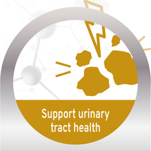 Load image into Gallery viewer, Forza10 Nutraceutic Actiwet Urinary Support Icelandic Fish Recipe Wet Cat Food
