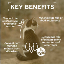 Load image into Gallery viewer, Forza10 Nutraceutic Actiwet Urinary Support Icelandic Fish Recipe Wet Cat Food
