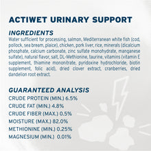 Load image into Gallery viewer, Forza10 Nutraceutic Actiwet Urinary Support Icelandic Fish Recipe Wet Cat Food
