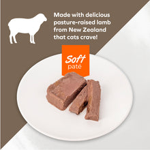 Load image into Gallery viewer, Forza10 Nutraceutic Actiwet Renal Support Wet Cat Food
