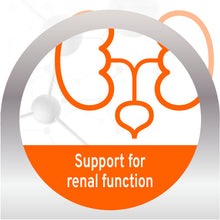 Load image into Gallery viewer, Forza10 Nutraceutic Actiwet Renal Support Wet Cat Food
