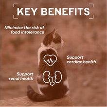 Load image into Gallery viewer, Forza10 Nutraceutic Actiwet Renal Support Wet Cat Food
