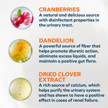 Load image into Gallery viewer, Forza10 Nutraceutic Actiwet Renal Support Wet Cat Food
