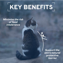 Load image into Gallery viewer, Forza10 Nutraceutic Actiwet Hypo Lamb Canned Cat Food
