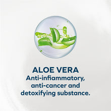 Load image into Gallery viewer, Forza10 Nutraceutic Actiwet Hypo Lamb Canned Cat Food
