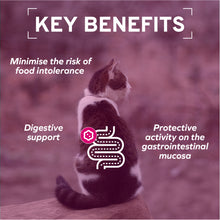 Load image into Gallery viewer, Forza10 Nutraceutic Actiwet Digestive Support Fish Recipe Wet Cat Food
