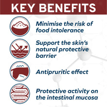 Load image into Gallery viewer, Forza10 Nutraceutic Active Dermo Support Dog Food
