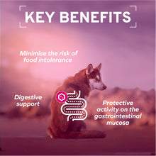 Load image into Gallery viewer, Forza10 Nutraceutic Actiwet Digestive Support Fish Recipe Canned Dog Food
