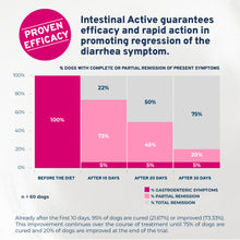 Load image into Gallery viewer, Forza10 Nutraceutic Active Intestinal Support Dry Dog Food
