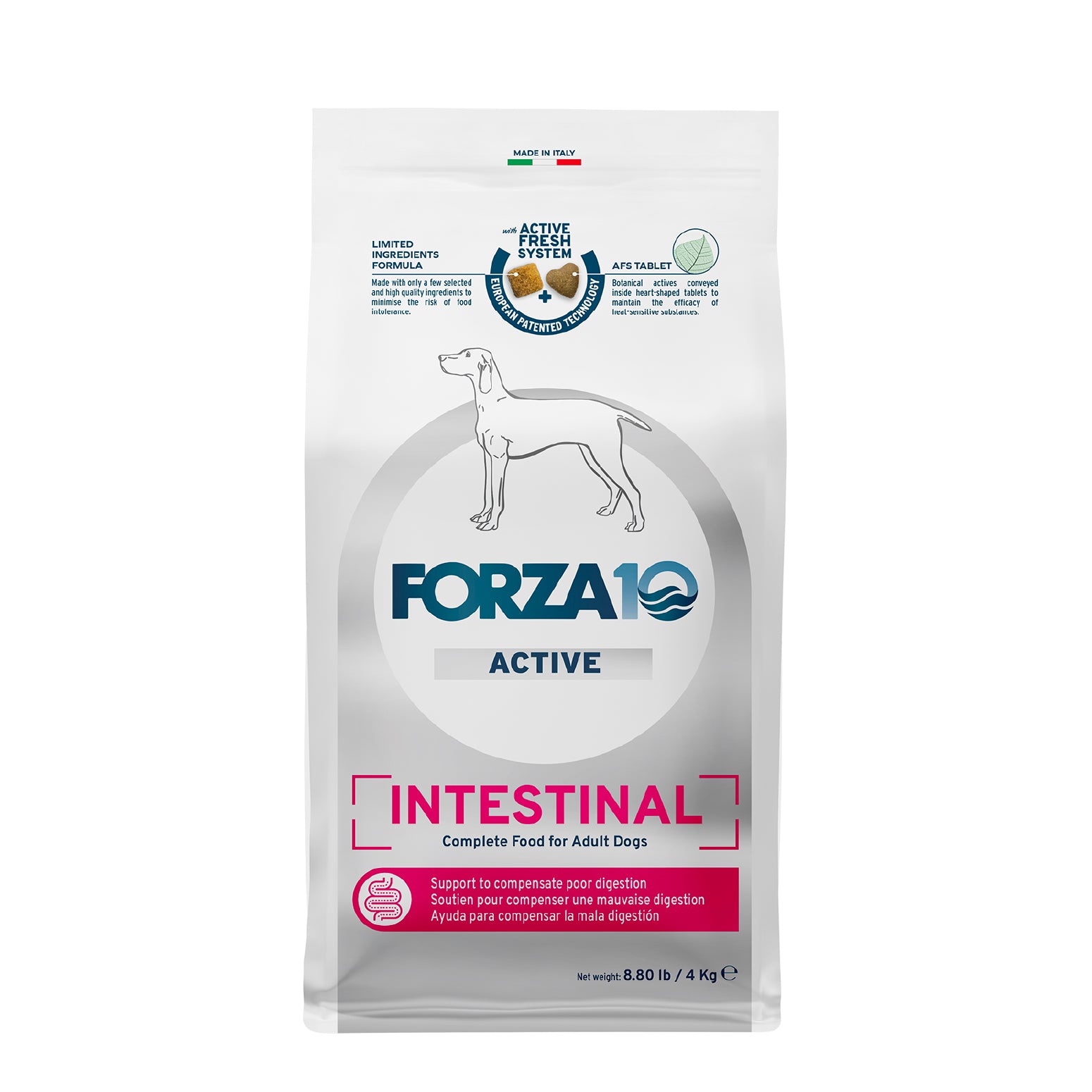 All – Forza10 America