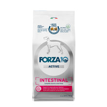 Load image into Gallery viewer, Forza10 Nutraceutic Active Intestinal Support Dry Dog Food
