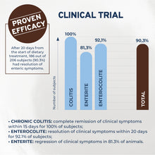 Load image into Gallery viewer, Forza10 Nutraceutic Active Colon Diet Phase 1 Dry Dog
