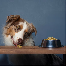 Load image into Gallery viewer, Forza10 Nutraceutic Active Colon Diet Phase 1 Dry Dog
