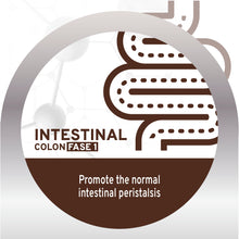 Load image into Gallery viewer, Forza10 Nutraceutic Active Colon Diet Phase 1 Dry Dog
