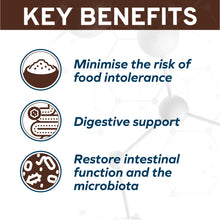 Load image into Gallery viewer, Forza10 Nutraceutic Active Colon Diet Phase 1 Dry Dog
