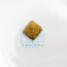 Load image into Gallery viewer, Forza10 Nutraceutic Active Colon Diet Phase 1 Dry Dog
