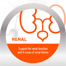 Load image into Gallery viewer, Forza10 Nutraceutic Active Kidney Renal Support Dry Dog Food
