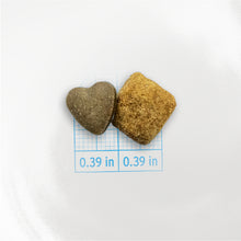 Load image into Gallery viewer, Forza10 Nutraceutic Active Kidney Renal Support Dry Dog Food
