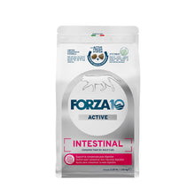 Load image into Gallery viewer, Forza10 Nutraceutic Active Intestinal Diet Dry Cat Food
