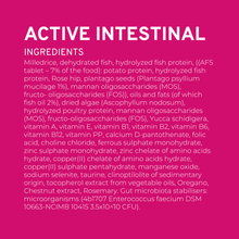 Load image into Gallery viewer, Forza10 Nutraceutic Active Intestinal Diet Dry Cat Food
