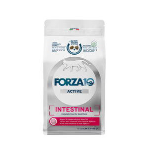 Intestinal Dry Cat Food Fish Recipe