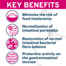 Load image into Gallery viewer, Forza10 Nutraceutic Active Intestinal Diet Dry Cat Food
