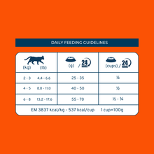 Load image into Gallery viewer, Forza10 Nutraceutic Active Kidney Renal Support Diet Cat Food
