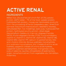 Load image into Gallery viewer, Forza10 Nutraceutic Active Kidney Renal Support Diet Cat Food
