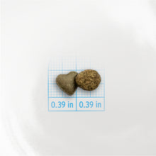 Load image into Gallery viewer, Forza10 Nutraceutic Active Kidney Renal Support Diet Cat Food

