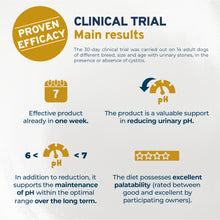 Load image into Gallery viewer, FORZA10 Nutraceutic Active Urinary Dry Dog Food
