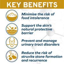 Load image into Gallery viewer, FORZA10 Nutraceutic Active Urinary Dry Dog Food
