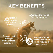 Load image into Gallery viewer, FORZA10 Nutraceutic Active Urinary Dry Dog Food
