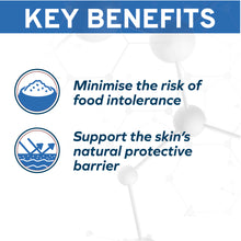 Load image into Gallery viewer, Forza10 Nutraceutic Actiwet Hypo Lamb Canned Dog Food
