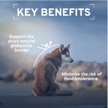 Load image into Gallery viewer, Forza10 Nutraceutic Actiwet Hypo Lamb Canned Dog Food
