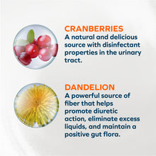 Load image into Gallery viewer, Forza10 Nutraceutic Actiwet Renal Support Wet Dog Food
