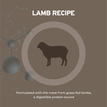 Load image into Gallery viewer, Forza10 DailyPro Lamb Wet Dog Food – Vet Formulated Daily Maintenance, Non-GMO, Made in Italy, 3.5 oz
